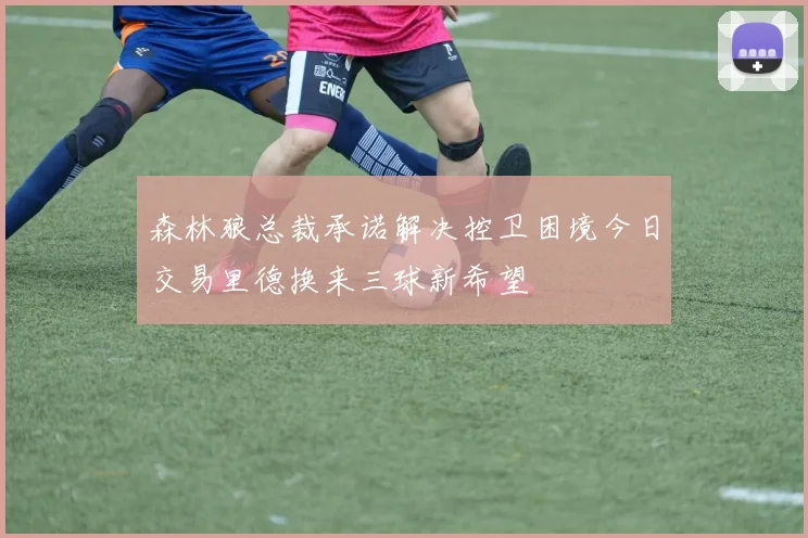 森林狼总裁承诺解决控卫困境今日交易里德换来三球新希望