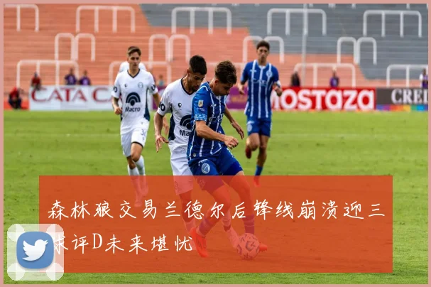 森林狼交易兰德尔后锋线崩溃迎三球评D未来堪忧